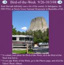 Filename=BirdofWeek2B0926082BHorvath.jpg
Filesize=236KiB
Dimensions=565x566
Date added=Sep 09, 2015 BirdofWeek2B0926082BHorvath.jpg