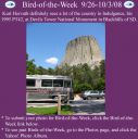 BirdofWeek2B0926082BHorvath.jpg