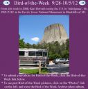 Filename=BirdofWeek2B0928122BHorvath.jpg
Filesize=254KiB
Dimensions=565x566
Date added=Sep 09, 2015 BirdofWeek2B0928122BHorvath.jpg