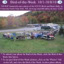 Filename=BirdofWeek2B1001102BBirds2B25262BBears2BRally.jpg
Filesize=338KiB
Dimensions=565x566
Date added=Sep 09, 2015 BirdofWeek2B1001102BBirds2B25262BBears2BRally.jpg