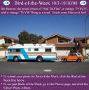 BirdofWeek2B1003082BBenson.jpg