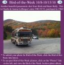 Filename=BirdofWeek2B1008102BLeBreque.jpg
Filesize=261KiB
Dimensions=565x566
Date added=Sep 09, 2015 BirdofWeek2B1008102BLeBreque.jpg