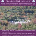 Filename=BirdofWeek2B1009092BGaramella2BBirds2B25262BBears.jpg
Filesize=447KiB
Dimensions=565x566
Date added=Sep 09, 2015 BirdofWeek2B1009092BGaramella2BBirds2B25262BBears.jpg