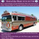 Filename=BirdofWeek2B1010082BSchrader.jpg
Filesize=304KiB
Dimensions=565x566
Date added=Sep 09, 2015 BirdofWeek2B1010082BSchrader.jpg