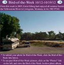 Filename=BirdofWeek2B1012122BEkberg.jpg
Filesize=265KiB
Dimensions=565x566
Date added=Sep 09, 2015 BirdofWeek2B1012122BEkberg.jpg