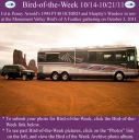 Filename=BirdofWeek2B1014112BArnold.jpg
Filesize=268KiB
Dimensions=565x566
Date added=Sep 09, 2015 BirdofWeek2B1014112BArnold.jpg