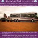 BirdofWeek2B1014112BArnold.jpg