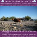 Filename=BirdofWeek2B1015102BHulse.jpg
Filesize=310KiB
Dimensions=565x566
Date added=Sep 09, 2015 BirdofWeek2B1015102BHulse.jpg