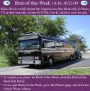 Filename=BirdofWeek2B1016092BArchie.jpg
Filesize=408KiB
Dimensions=565x566
Date added=Sep 09, 2015 BirdofWeek2B1016092BArchie.jpg