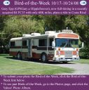 Filename=BirdofWeek2B1017082BEpp.jpg
Filesize=384KiB
Dimensions=565x566
Date added=Sep 09, 2015 BirdofWeek2B1017082BEpp.jpg