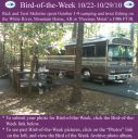 Filename=BirdofWeek2B1022102BMcIntire.jpg
Filesize=290KiB
Dimensions=565x566
Date added=Sep 09, 2015 BirdofWeek2B1022102BMcIntire.jpg