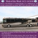 Filename=BirdofWeek2B1023092BMillsap.jpg
Filesize=252KiB
Dimensions=565x566
Date added=Sep 09, 2015 BirdofWeek2B1023092BMillsap.jpg