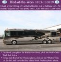 BirdofWeek2B1023092BMillsap.jpg