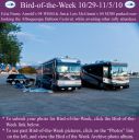 Filename=BirdofWeek2B1029102BArnold2B25262BMcGinnis.jpg
Filesize=318KiB
Dimensions=565x566
Date added=Sep 09, 2015 BirdofWeek2B1029102BArnold2B25262BMcGinnis.jpg