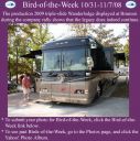 Filename=BirdofWeek2B1031082B20092BWanderlodge2Bat2BBranson.jpg
Filesize=338KiB
Dimensions=565x566
Date added=Sep 09, 2015 BirdofWeek2B1031082B20092BWanderlodge2Bat2BBranson.jpg