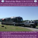 Filename=BirdofWeek2B1104112BMcMahan.jpg
Filesize=305KiB
Dimensions=565x566
Date added=Sep 09, 2015 BirdofWeek2B1104112BMcMahan.jpg