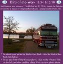 Filename=BirdofWeek2B1105102BHanson.jpg
Filesize=248KiB
Dimensions=565x566
Date added=Sep 09, 2015 BirdofWeek2B1105102BHanson.jpg