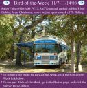Filename=BirdofWeek2B1107082BFullenwider.jpg
Filesize=448KiB
Dimensions=565x566
Date added=Sep 09, 2015 BirdofWeek2B1107082BFullenwider.jpg
