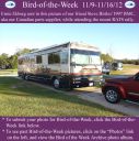 Filename=BirdofWeek2B1109122BBirtles.jpg
Filesize=325KiB
Dimensions=565x566
Date added=Sep 09, 2015 BirdofWeek2B1109122BBirtles.jpg