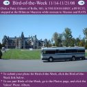 Filename=BirdofWeek2B1114082BGideon.jpg
Filesize=306KiB
Dimensions=565x566
Date added=Sep 09, 2015 BirdofWeek2B1114082BGideon.jpg