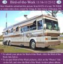 Filename=BirdofWeek2B1116122BGesse.jpg
Filesize=339KiB
Dimensions=565x566
Date added=Sep 09, 2015 BirdofWeek2B1116122BGesse.jpg