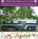 Filename=BirdofWeek2B1118052BAugust2BThanksgiving2Bcopy---1.jpg
Filesize=39KiB
Dimensions=359x360
Date added=Sep 09, 2015 BirdofWeek2B1118052BAugust2BThanksgiving2Bcopy---1.jpg