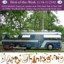 BirdofWeek2B1118052BAugust2BThanksgiving2Bcopy---1.jpg