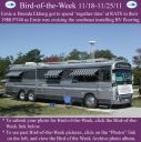 Filename=BirdofWeek2B1118112BEkberg.jpg
Filesize=341KiB
Dimensions=565x566
Date added=Sep 09, 2015 BirdofWeek2B1118112BEkberg.jpg