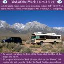 Filename=BirdofWeek2B1126102BGriesel2B25262BEvans.jpg
Filesize=362KiB
Dimensions=565x566
Date added=Sep 09, 2015 BirdofWeek2B1126102BGriesel2B25262BEvans.jpg