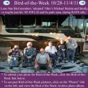 Filename=BirdofWeek2B1128112BLSB2B25262BBatista2Bat2BRATS.jpg
Filesize=356KiB
Dimensions=565x566
Date added=Sep 09, 2015 BirdofWeek2B1128112BLSB2B25262BBatista2Bat2BRATS.jpg