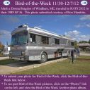 Filename=BirdofWeek2B1130122BBragdon.jpg
Filesize=323KiB
Dimensions=565x566
Date added=Sep 09, 2015 BirdofWeek2B1130122BBragdon.jpg