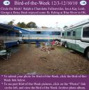 Filename=BirdofWeek2B1203102BFullenwider252C2BLosh2B25262BBush.jpg
Filesize=302KiB
Dimensions=565x566
Date added=Sep 09, 2015 BirdofWeek2B1203102BFullenwider252C2BLosh2B25262BBush.jpg