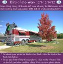 Filename=BirdofWeek2B1207122BHenry.jpg
Filesize=371KiB
Dimensions=565x566
Date added=Sep 09, 2015 BirdofWeek2B1207122BHenry.jpg