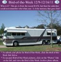 Filename=BirdofWeek2B1209112BUnknown.jpg
Filesize=360KiB
Dimensions=565x566
Date added=Sep 09, 2015 BirdofWeek2B1209112BUnknown.jpg