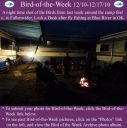 Filename=BirdofWeek2B1210102Bnighttime.jpg
Filesize=257KiB
Dimensions=565x566
Date added=Sep 09, 2015 BirdofWeek2B1210102Bnighttime.jpg