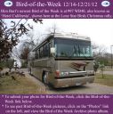 Filename=BirdofWeek2B1214122BBim2BBurt.jpg
Filesize=329KiB
Dimensions=565x566
Date added=Sep 09, 2015 BirdofWeek2B1214122BBim2BBurt.jpg