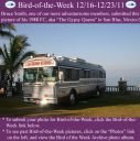 Filename=BirdofWeek2B1216112BSmith.jpg
Filesize=270KiB
Dimensions=565x566
Date added=Sep 09, 2015 BirdofWeek2B1216112BSmith.jpg