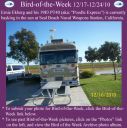 Filename=BirdofWeek2B1217102BEkberg.jpg
Filesize=323KiB
Dimensions=565x566
Date added=Sep 09, 2015 BirdofWeek2B1217102BEkberg.jpg