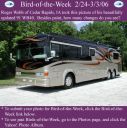 Filename=BirdofWeek_022406_Webb~0.jpg
Filesize=84KiB
Dimensions=565x566
Date added=Sep 09, 2015 BirdofWeek_022406_Webb~0.jpg
