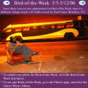 BirdofWeek_050506_FLXible.jpg