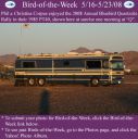 BirdofWeek_051608_Corpus.jpg