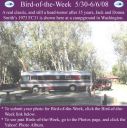 BirdofWeek_053008_Smith.jpg