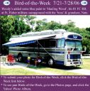 BirdofWeek_072106_Woody.jpg