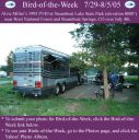 BirdofWeek_072905_AlvieMiller.jpg
