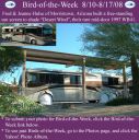 BirdofWeek_081007_Hulse.jpg