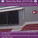 BirdofWeek_082506_Abrams.jpg