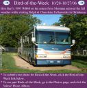 BirdofWeek_102006_Burt.jpg