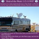 BirdofWeek_110207_Bradner.jpg