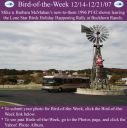 BirdofWeek_121407_McMahan.jpg